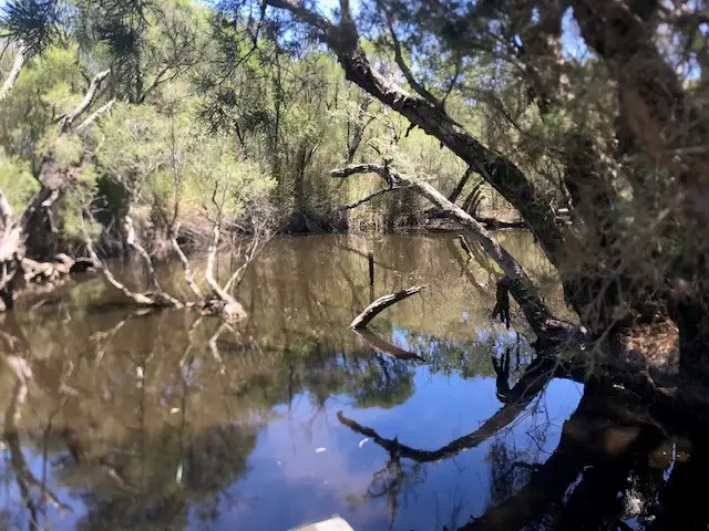 Sixth view of Homely rural property listing, 305 Whitfield Springs Road, Beermullah WA 6503