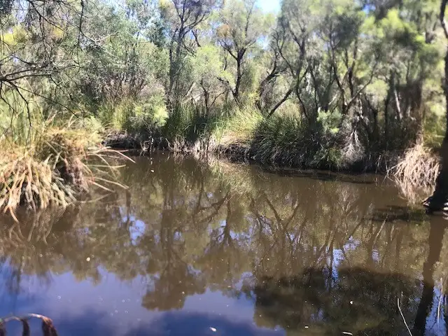 Seventh view of Homely rural property listing, 305 Whitfield Springs Road, Beermullah WA 6503
