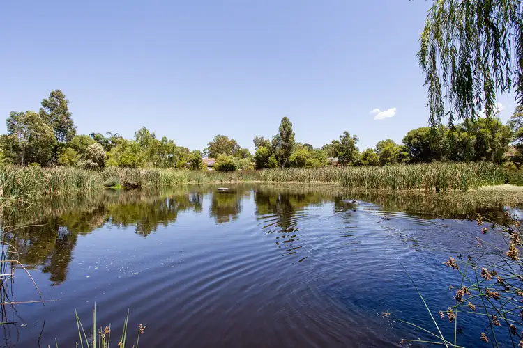 5/14 Nolan Place, Bayswater WA 6053