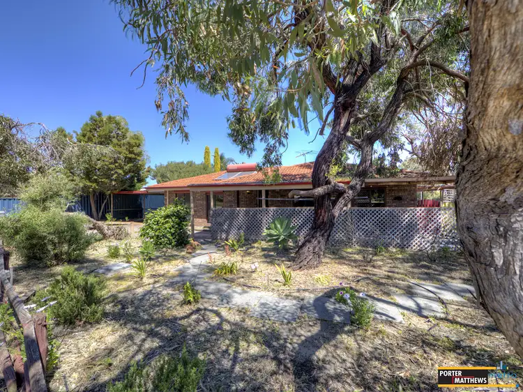 Sixth view of Homely house listing, 169 Blackadder Road, Swan View WA 6056