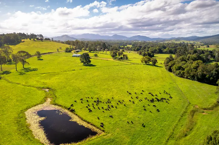 Main view of Homely rural property listing, 1456 Rollands Plains Road, Ballengarra NSW 2441