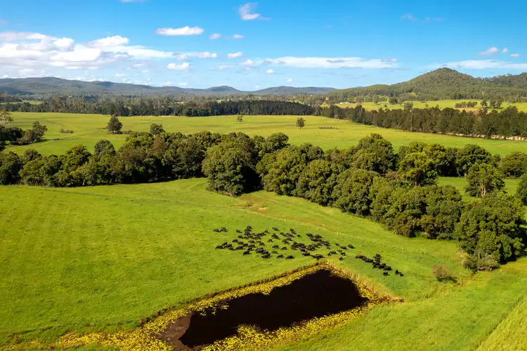 Second view of Homely rural property listing, 1456 Rollands Plains Road, Ballengarra NSW 2441