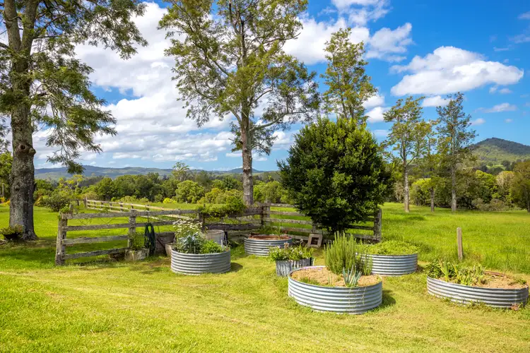 Fourth view of Homely rural property listing, 1456 Rollands Plains Road, Ballengarra NSW 2441
