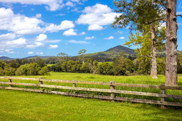 Fifth view of Homely rural property listing, 1456 Rollands Plains Road, Ballengarra NSW 2441