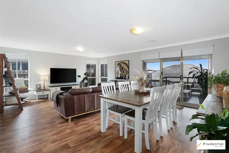57 Irvine Street, Elderslie NSW 2570