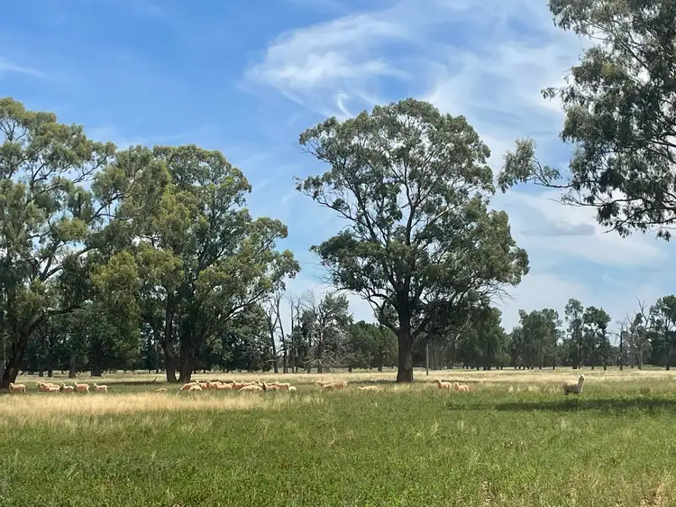 82 (RMB 2070) Pine lodge Rd, Tocumwal NSW 2714