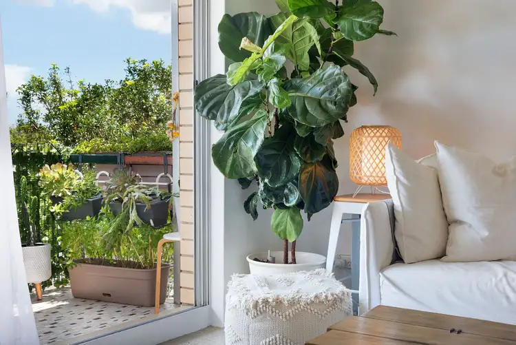 Sixth view of Homely unit listing, 5/21 Childs Street, Clayfield QLD 4011