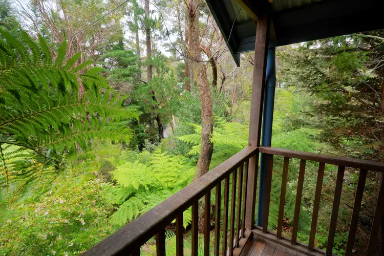 Second view of Homely house listing, 22 Wills Street, Blackheath NSW 2785