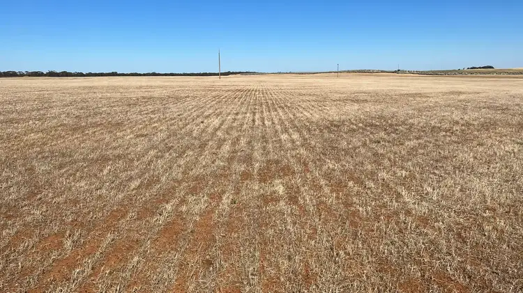 103 Wegner Road, Karoonda SA 5307