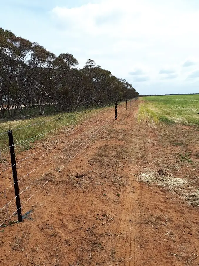 Fourth view of Homely rural property listing, 103 Wegner Road, Karoonda SA 5307