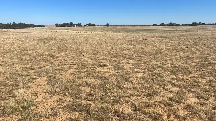 Fifth view of Homely rural property listing, 103 Wegner Road, Karoonda SA 5307
