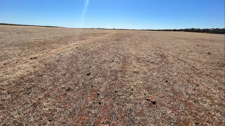 Sixth view of Homely rural property listing, 103 Wegner Road, Karoonda SA 5307