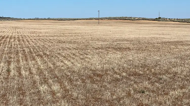 Seventh view of Homely rural property listing, 103 Wegner Road, Karoonda SA 5307