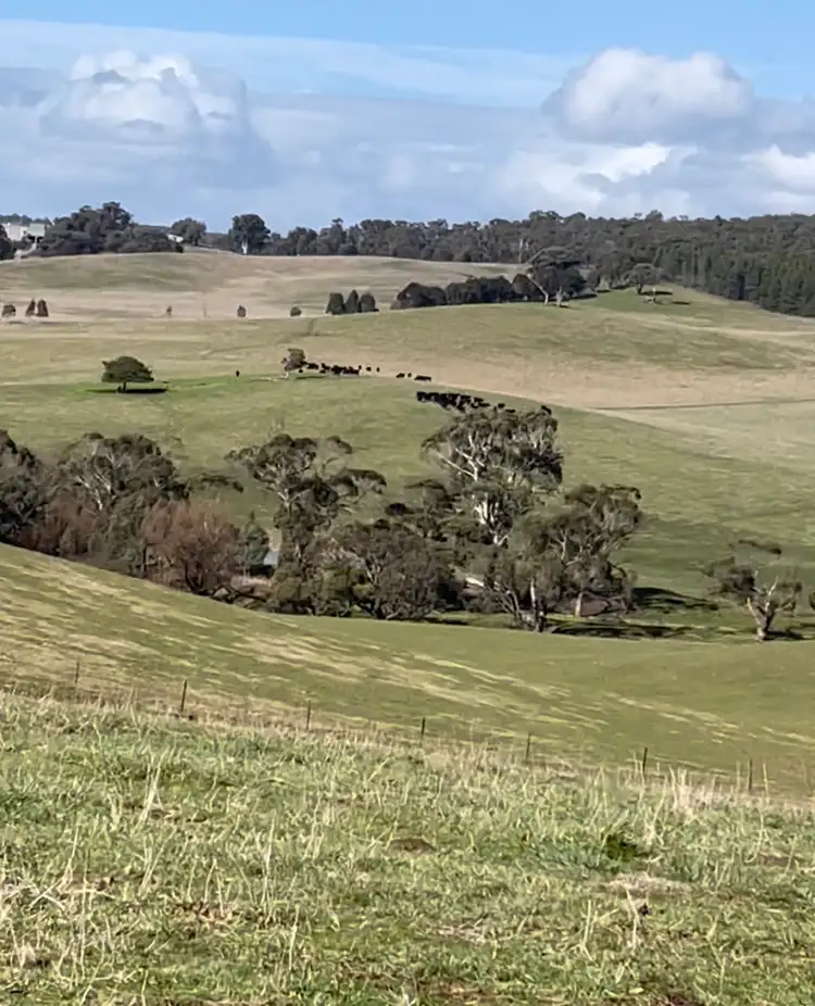 Main view of Homely rural property listing, 181 Wagga Wagga Road, Tumbarumba NSW 2653