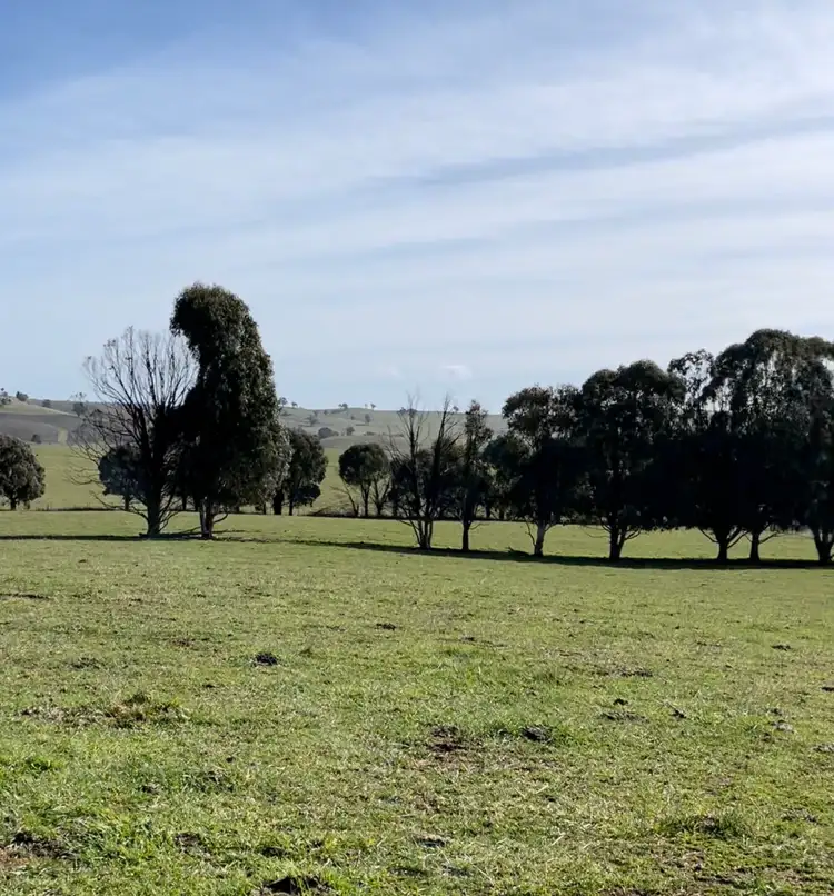 Third view of Homely rural property listing, 181 Wagga Wagga Road, Tumbarumba NSW 2653