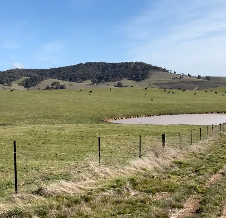 Fourth view of Homely rural property listing, 181 Wagga Wagga Road, Tumbarumba NSW 2653