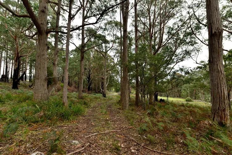 LOT 1, 43 Feil Road, Mount Lloyd TAS 7140