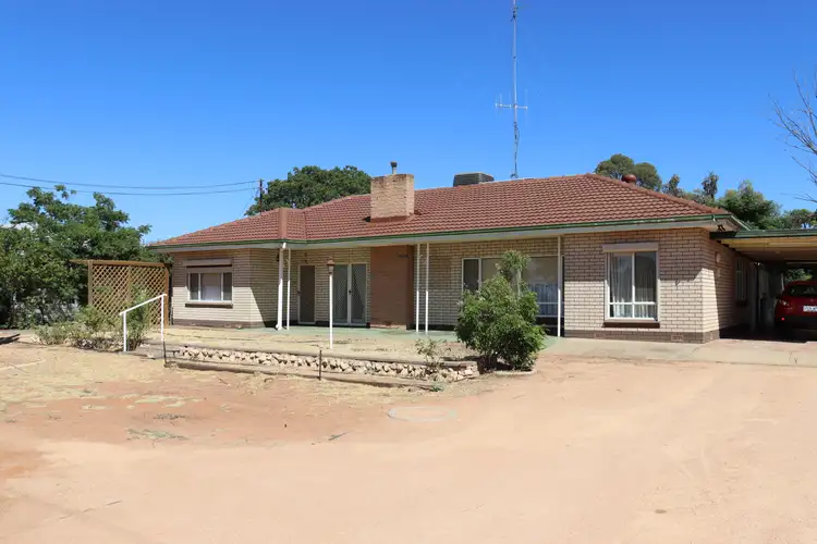 Second view of Homely house listing, 49 Worman Street, Berri SA 5343