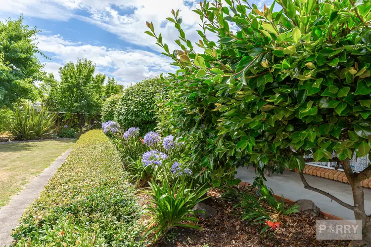1 Mulgrave Street, Perth TAS 7300