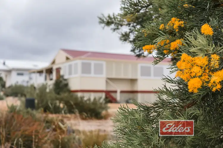Main view of Homely house listing, 8 Gunn Place, Bremer Bay WA 6338