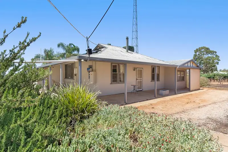 Main view of Homely house listing, 371 Winkie Road, Winkie SA 5343