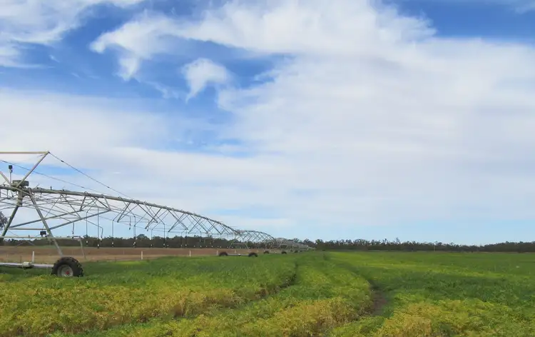Fourth view of Homely rural property listing, 1383 Cobramunga Road, Swan Hill VIC 3585