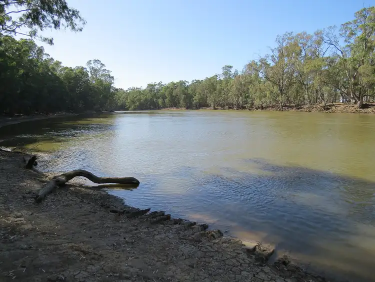 Fifth view of Homely rural property listing, 1383 Cobramunga Road, Swan Hill VIC 3585