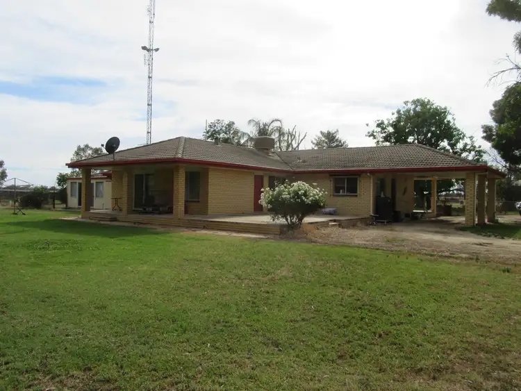 Sixth view of Homely rural property listing, 1383 Cobramunga Road, Swan Hill VIC 3585