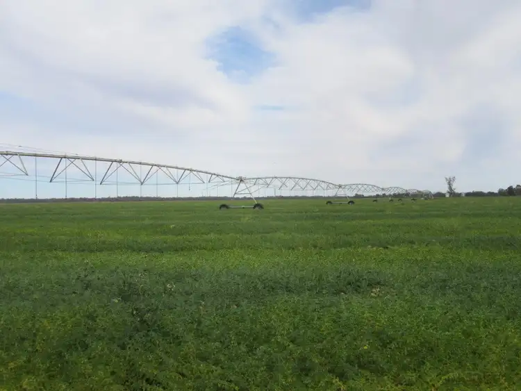 Seventh view of Homely rural property listing, 1383 Cobramunga Road, Swan Hill VIC 3585