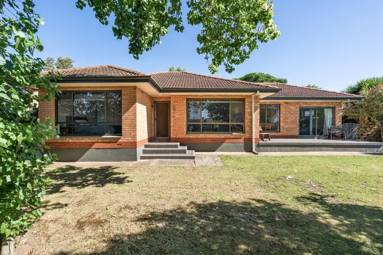 3 Ringwood Road, Morphett Vale SA 5162