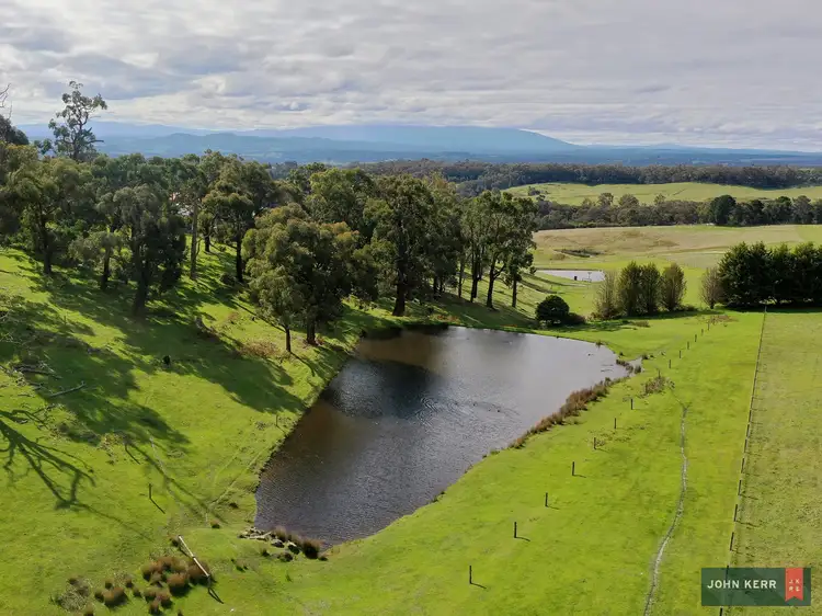 Sixth view of Homely rural property listing, 90 McGraths Track, Hernes Oak VIC 3825