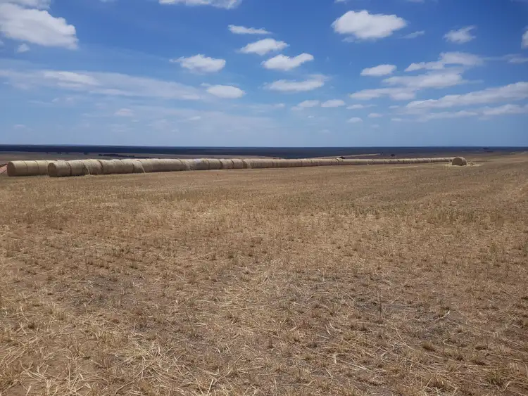 Sixth view of Homely rural property listing, 371 Roberts Road, Gairdner WA 6337