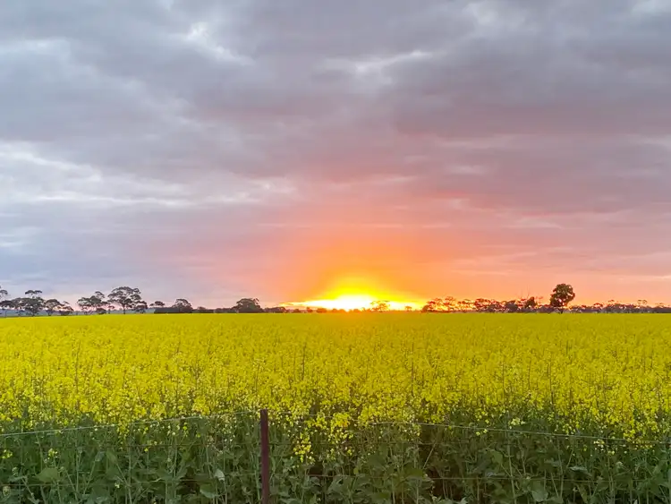 Second view of Homely rural property listing, 405 Linfern Road, Buckingham Via, Mundulla SA 5270