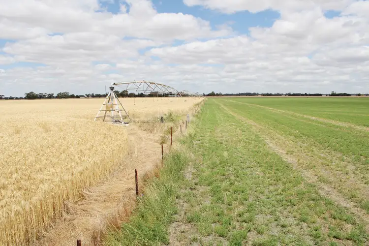 Third view of Homely rural property listing, 405 Linfern Road, Buckingham Via, Mundulla SA 5270