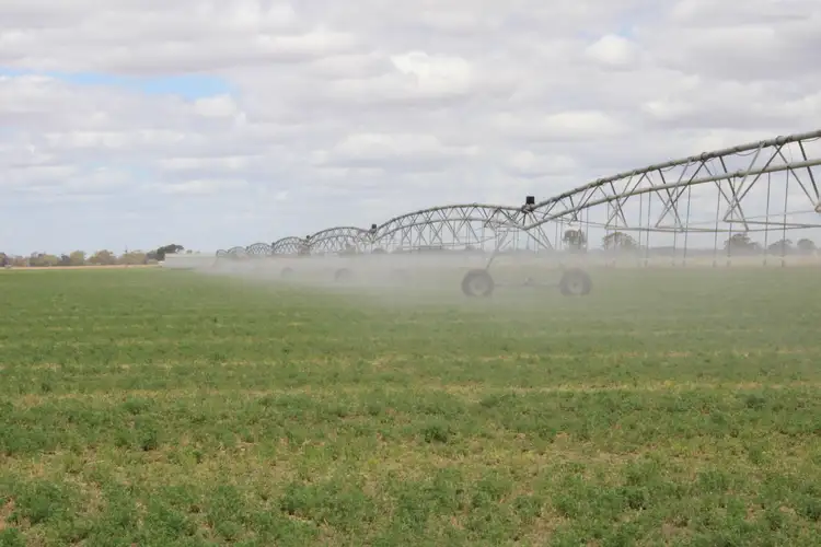 Fifth view of Homely rural property listing, 405 Linfern Road, Buckingham Via, Mundulla SA 5270