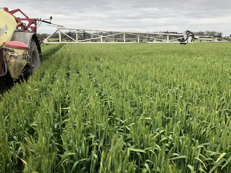 Sixth view of Homely rural property listing, 405 Linfern Road, Buckingham Via, Mundulla SA 5270