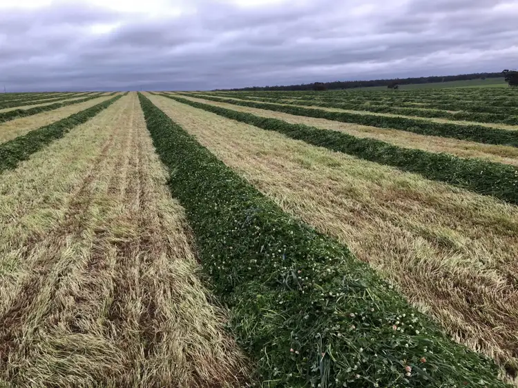 Seventh view of Homely rural property listing, 405 Linfern Road, Buckingham Via, Mundulla SA 5270