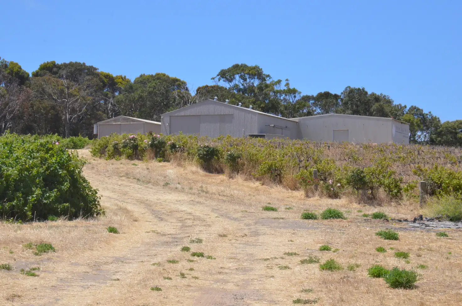 Main view of Homely rural property listing, 67 BURDON DRIVE, Kingscote SA 5223