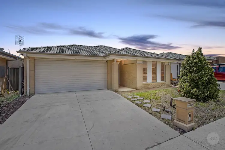 Main view of Homely house listing, 13 Saltbush Street, Jackass Flat VIC 3556