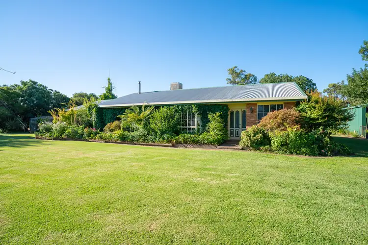 338 WILLOWS ROAD, Jerilderie NSW 2716