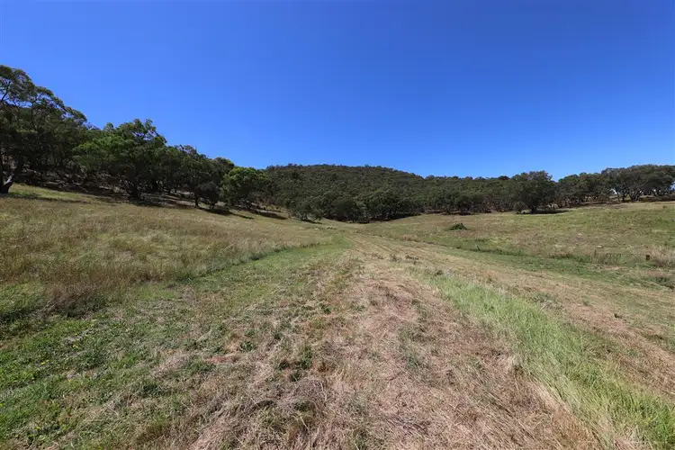 Seventh view of Homely land listing, 179 Grahamstown Road, Adelong NSW 2729