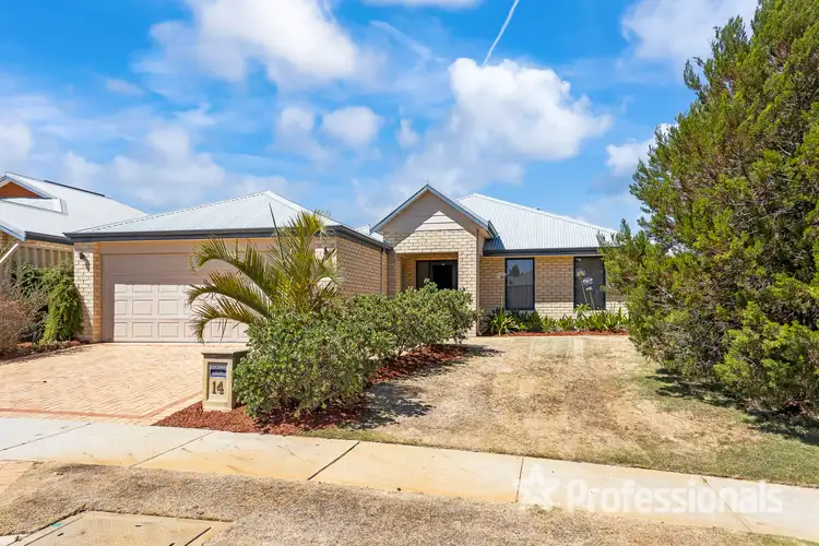 Main view of Homely house listing, 14 Medstead Way, Butler WA 6036