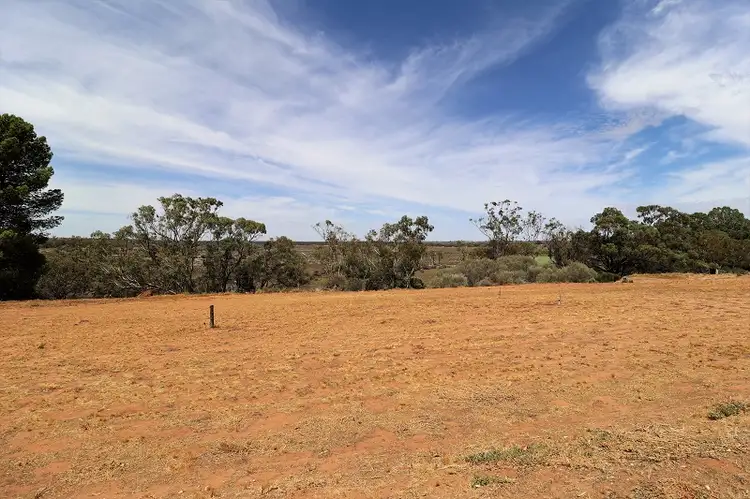 Main view of Homely land listing, Section 85 Foreman Road, Berri SA 5343