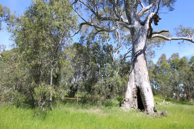 Lot 31 Inglis Road, Benalla VIC 3672