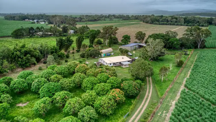 124 Notch Point Road, Ilbilbie QLD 4738