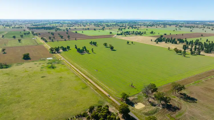 1087 PATTERSONS ROAD, Rennie NSW 2646