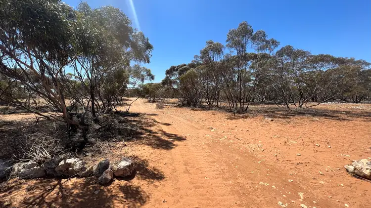 Third view of Homely rural property listing, Allot 2 Schache Road, Younghusband SA 5238