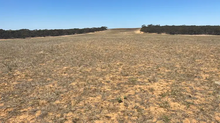 Fourth view of Homely rural property listing, Allot 2 Schache Road, Younghusband SA 5238
