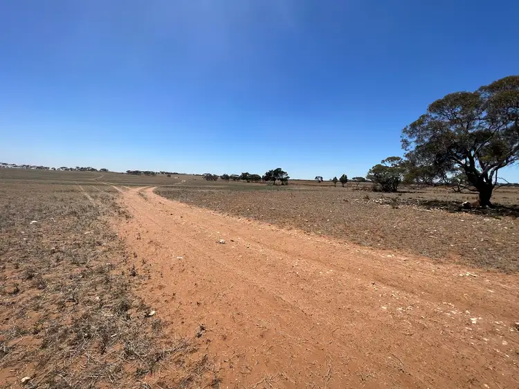 Fifth view of Homely rural property listing, Allot 2 Schache Road, Younghusband SA 5238
