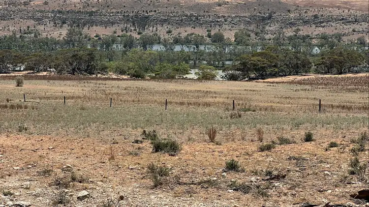 Sixth view of Homely rural property listing, Allot 2 Schache Road, Younghusband SA 5238